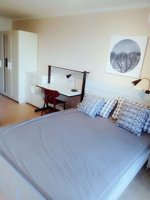 租房子找我中介勿擾 無服務(wù)費(fèi)用免費(fèi)上網(wǎng)免費(fèi)保潔免費(fèi)維修